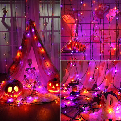 Halloween Lights - Hiddengem