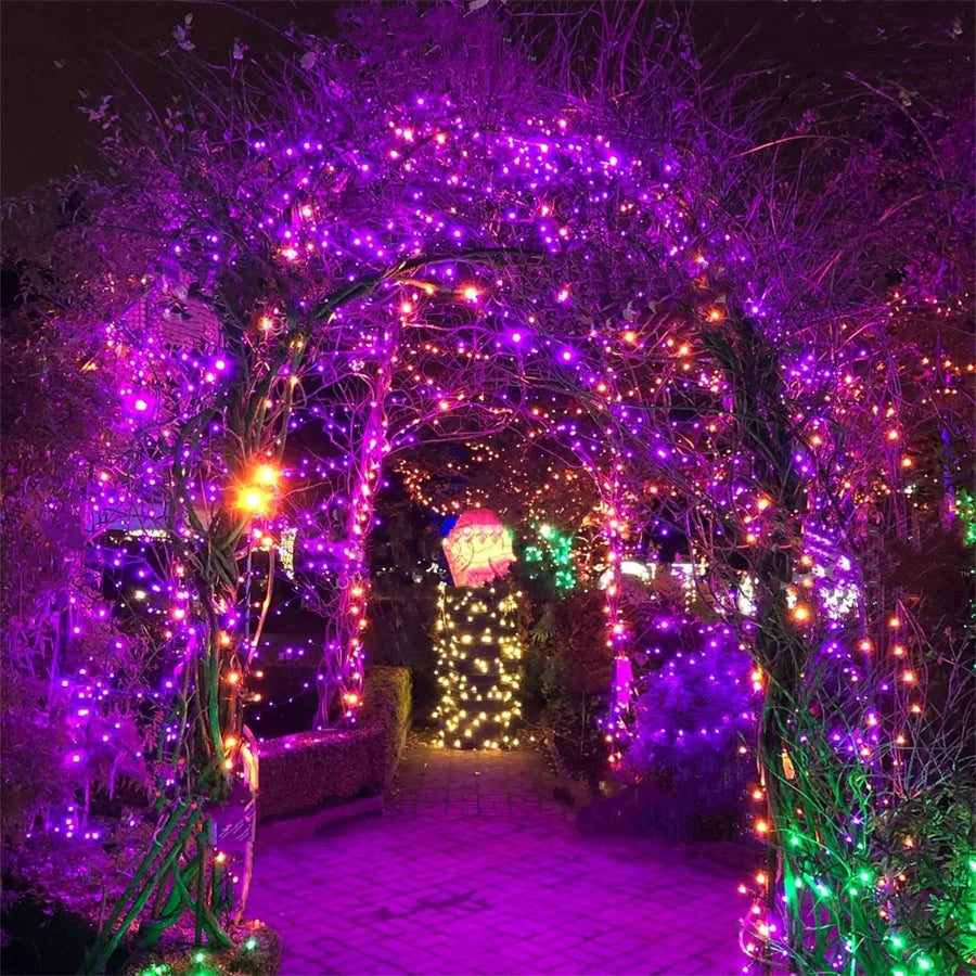 Halloween Lights - Hiddengem